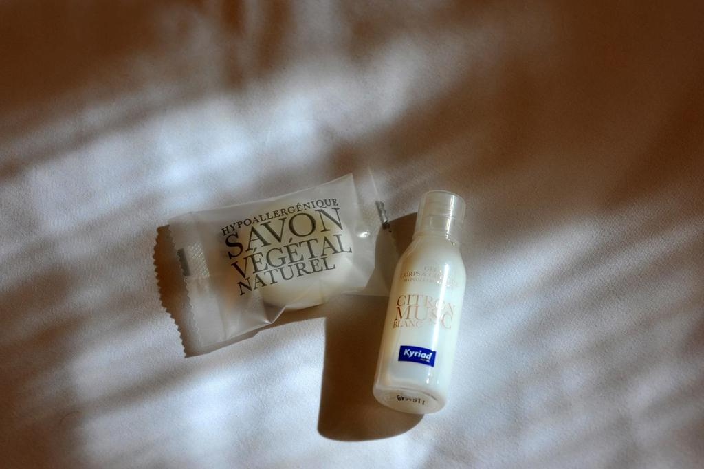 Kyriad Annecy Cran-Gevrier Amenities photo